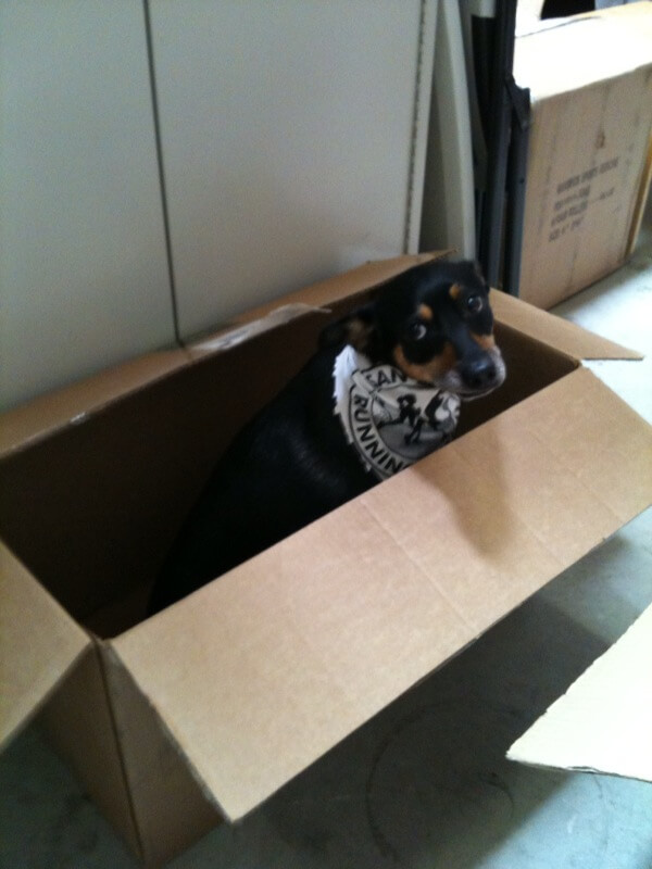 I'm packed and ready to go!