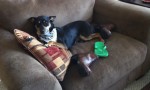 rio-couch
