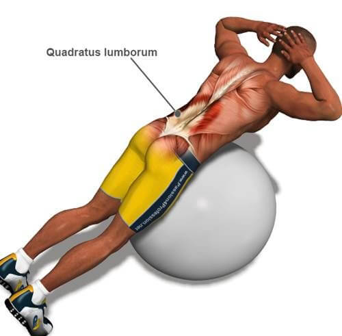 Lower Back Muscle Diag : Best Back Muscles Training Exercises - Commonly undiagnosed conditions ...