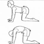 low back stretch